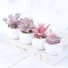 Succulent Artificial Plants Fake Succulents in White Ceramic Pots Small Fake Plants for Office Desk Home Decor