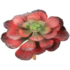 Set of 12: Burgundy-Green Aeonium Succulent Plant | 6.5" Wide | Lifelike Faux Greenery Accents | Realistic Decorative Plants | Botanical Centerpieces | Home & Office Decor