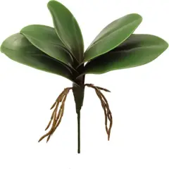 10.5" Green Phalaenopsis Leaf Cluster - Lifelike Artificial Foliage, Set of 2, Perfect for Arrangements, Home & Office Decor - Year-Round Greenery, Floral Home by Artificial Flowers
