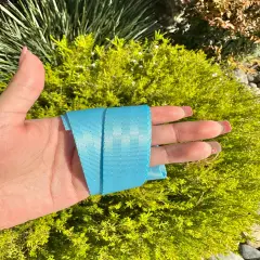 Aqua 1&rdquo; Seatbelt Webbing (by the yard)