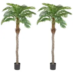 Northlight Artificial Potted Palm Trees - 6' - Set of 2 Green