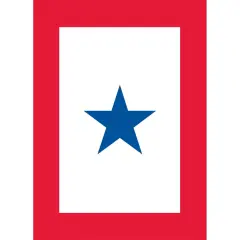 Family Member In Service Star Flag with Grommets 28" x 40"