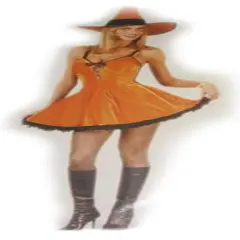 Fun World Orange and Black Witch Women Adult Halloween Costume - Large