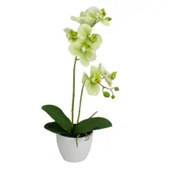 Northlight Real Touch&trade;️ Artificial Orchid Potted Plant - 14" - White and Green