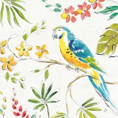 Tropical Oasis Iv White Poster Print by Daphne Brissonnet - Item # VARPDX34971HR