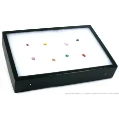 Gemstone Display Case Showcase Riker Mount Tray 12x8x2"