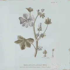 Conversations on Botany VII Blue Poster Print by Wild Apple Portfolio - Item # VARPDX37200