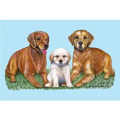 Betsy Drake Golden Retriever 30 X 50 Inch Comfort Floor Mat