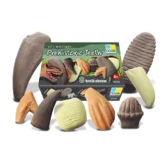 Let's Investigate &ndash; Prehistoric Teeth, Set of 8