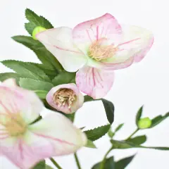 25" Faux Helleborus Stem Pink / Green