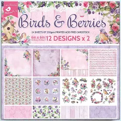 Little Birdie Cardstock Pack 6"X6" 12/Pkg-Birds And Berries