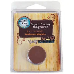 BCI Crafts Vintage Magnets Discs 3/Pkg-1"