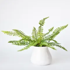 17" Faux Green Boston Fern Bush