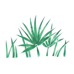 Small Jungle Grass Wall Stencil | 2854A by Designer Stencils | Outdoor Stencils |