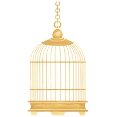 Birdcage Wall Stencil | 331 by Designer Stencils | Pattern Stencils | Reusable Stencils for Painting | Safe & Reusable Template for Wall Decor | Try This Stencil Instead of a Wallpaper | Easy to Use & Clean Art Stencil Pattern