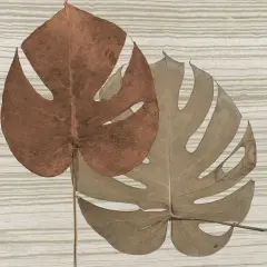 Dry Balazo on Fabric II Poster Print by Patricia Pinto # 6777L