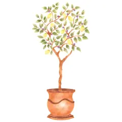 Large Lemon Topiary Tree Wall Stencil | 3286B by Designer Stencils | Floral Stencils | Reusable Art Craft Stencils for Painting on Walls, Canvas, Wood | Reusable Plastic Paint Stencil for Home Makeover | Easy to Use & Clean Art Stencil