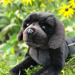 Floppy and Lovable: Meet Our Black Labrador Retriever Plush Toy