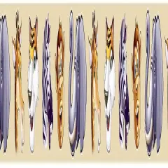 Jungle Animals Party Tape (Pack of 12)