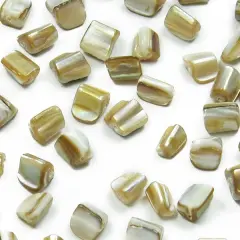 6 Packs of Tinted Shell Nugget Natural 2/8" Str