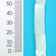 6 Packs of Tinted Shell 10x15mm Rect Natural 2x8"