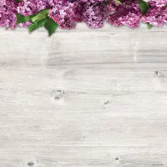 Great Papers! Three Lovely Lilac Stationery Letterhead, Invitations and Announcements, Printer Friendly, 8.5"x11", 80 Pack