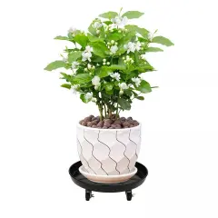 16" 3pcs Plant Stand Flower Tray Shelf Planter Cart Trolley with Lockable Wheels