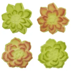 Succulents Assortment Dec-Ons&reg; Decorations 12ct