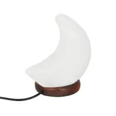 Himalayan Salt Lamp - Moon Light Natural Polished Stone White Moon