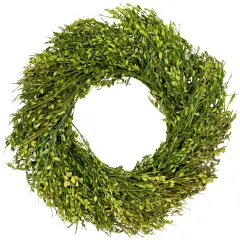 Northlight Green Foliage Artificial Spring Wreath - 20' - Unlit