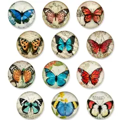 Wrapables Crystal Glass Magnets, Refrigerator Magnets for Office Whiteboards, Cabinets, Lockers (Set of 12) Butterflies
