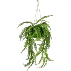 Northlight Artificial Fern Plant with Moss Ball and Hanging Jute Cord - 18" Green