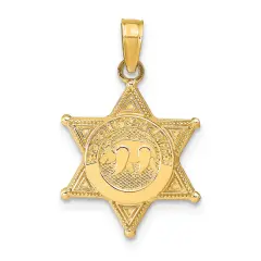 14K Gold Deputy Sheriff Badge w/ Bear Charm Police Jewerly 22.5mm x 14mm