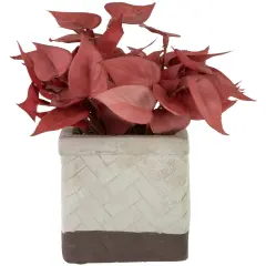 Northlight Real Touch&trade; Artificial Peperomia Plant in Square Lattice Designed Pot - 7" -Brick Red