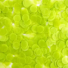 $product['description']['title']}