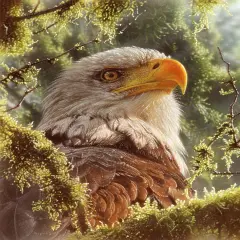 Sunsout High and Mighty 1000 pc Jigsaw Puzzle 21816