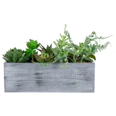 Northlight Artificial Mixed Succulent Plants in a Rectangular Planter - 12" Green