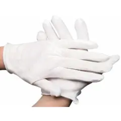Teen Ladies Child White Sheer Economy Costume Gloves