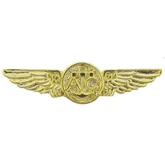 EagleEmblems P15240 Wing-USN,Aircrew,Gold (Mini) (1.25'')