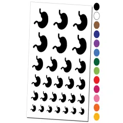 Stomach Anatomy Organ Body Part Temporary Tattoo Water Resistant Fake Body Art Set Collection Purple