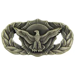 EagleEmblems P16512 Wing-USAF,SEC.Police,BAS. PWT (1.625'')