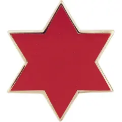 U.S. Army 6th Infantry Division Pin 1"