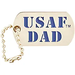 EagleEmblems P63824 Pin-USAF Emblem,Dad (1'')