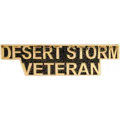 EagleEmblems P13015 Pin-DEST.Storm,SCR,Vet (1.5'')