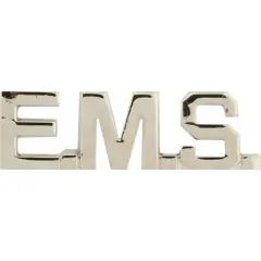 EagleEmblems P02400 Pin-EMS,Script (SLV) (1'')
