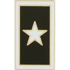 Eagle Emblems Pin-Pow*Mia, 1 Star Banner "Missing In Action" (1")