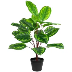 Northlight Two-Tone Calathea Artificial Potted Plant - 30" Green