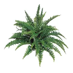 Boston Fern Plant with 50 Realistic Silk Fronds - 34-Inch Faux Greenery for Home, Office, Patio & Garden Decor | Maintenance-Free by Floral Home