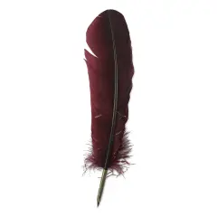 Manuscript Quill Dip Pen - Burgundy