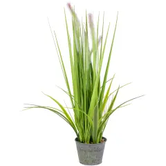 Northlight 24" Artificial Green Onion Grass Plant in Tin Pot